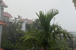 5月1日清晨，河内西部地区出现倾盆大雨。（图：福厚）