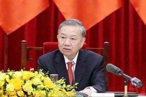 苏林总书记为体制和法律完善中央指委会主任