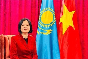 越南驻哈大使范泰如梅。（图：越通社）