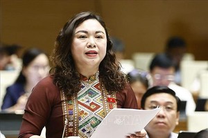 和平省国会代表邓碧玉在会议上发言。