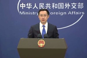 外交部发言人林剑。（图：视频截图）