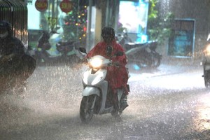 本市正式步入雨季