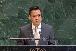 越南常驻联合国代表团团长、特命全权大使邓黄江。（图：越通社）