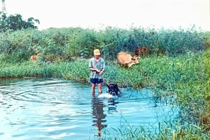 作者当年以养育放牧维生。