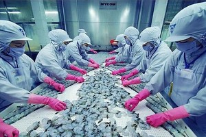 水产出口生产线。