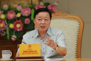 政府副总理陈红河主持会议并发表讲话。（图：VGP）