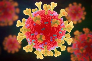 新冠病毒。（示意图：Shutterstock）