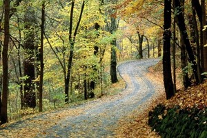 （示意图：互联网）