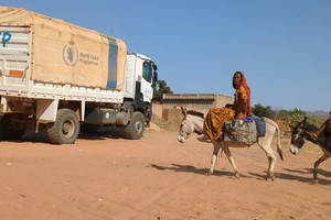 由于持续的冲突和导致的粮食短缺，数十万苏丹人在乍得寻求庇护。（图：联合国）