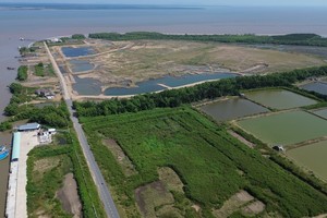 前江省鹅贡东县沿海蛤蜊养殖区。