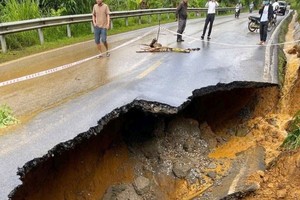 确保4D国道交通安全