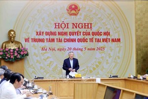 政府常务副总理阮和平（中）在会议上发表讲话。（图：越通社）