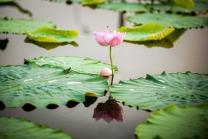 （示意图：互联网）