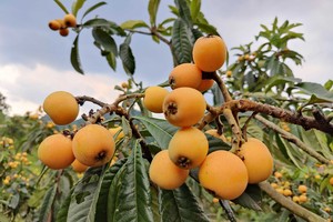 （示意图：互联网）