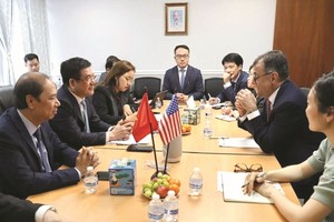 阮鸿延部长一行会见谷歌科技公司代表。（图：越通社）