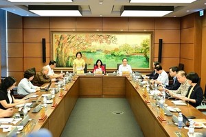 河内国会代表分组讨论法律草案。