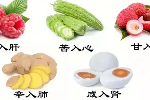 谈食物的四气五味偏性