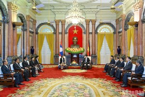 国家主席接见外宾