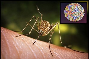 （示意图：互联网）