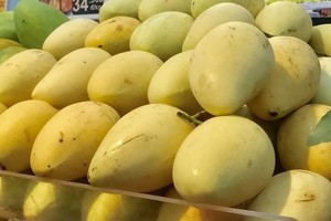 越南芒果。（图：互联网）