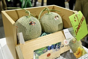 北海道甜瓜今年首拍出“天价”