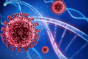 卫生部通报 SARS-CoV-2 病毒新变异株