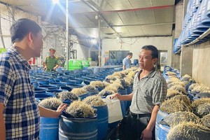 职能力量突检查获上百吨的毒豆芽。（图：警方提供）