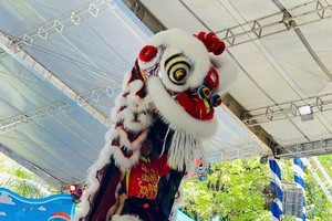 市少儿传统南狮与龙狮联欢比赛