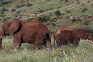 （示意图：互联网）