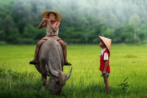 （示意图：互联网）