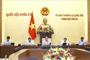 修改《规划法》以便各地方实行两级政府模式