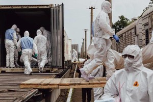 乌克兰战俘待遇协调总部当地时间15日宣布，1200具包括军事人员在内的遇难者遗体被送回乌克兰。