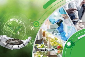 （示意图：TL）