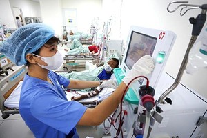 医护人员正在为一名慢性肾病患者进行透析。（图：芳苑）