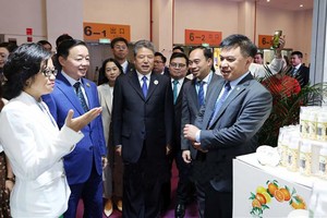 政府副总理陈红河参观越南展位。（图：越通社）