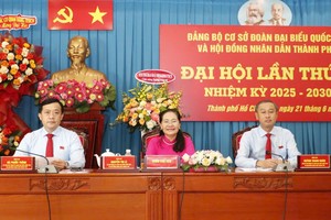 市人民议会主席阮氏丽（中）主持大会。（图：吴平）