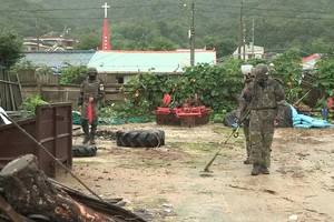 韩朝边境埋有大量地雷。（图：视频截图）