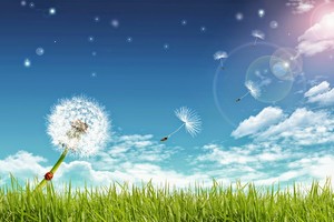 苏泥的泥（外一首）