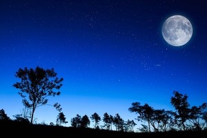 （示意图：互联网）