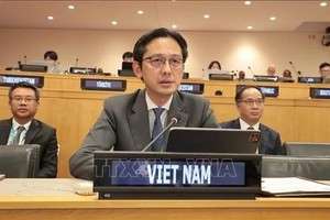越南常驻联合国代表团团长杜雄越大使发言。（图：越通社）