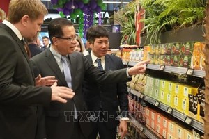 越南驻俄大使邓明魁参观「越南角」。（图：越通社）