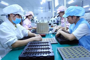 （附图：越通社）