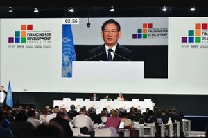 政府副总理胡德福在FfD4全体讨论会上发表。（图：越通社）