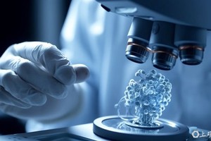 （示意图由AI生成）