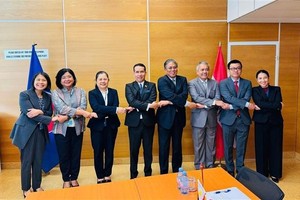 东盟八国代表合影。（图：越通社）