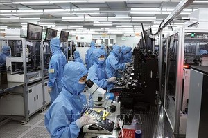 宁平省福山工业区的MCNEX VINA公司(韩国全资)生产电子零件厂一隅。