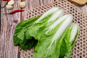 吃小白菜的好处