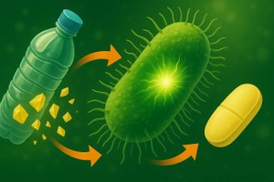 （示意图片由AI生成）