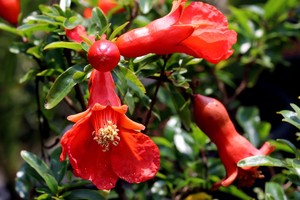 （示意图：互联网）