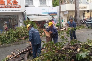 工作人员清理倒伏的树木。